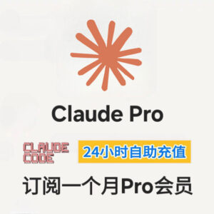 Claude Pro 自助充值 充值码